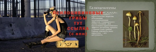 гашик Гусиноозёрск