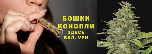 гидропоника Гусев