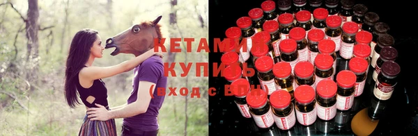 меф Дмитриев