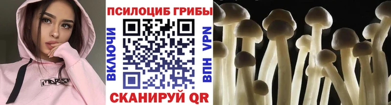Галлюциногенные грибы Cubensis  Купить где  Касли 